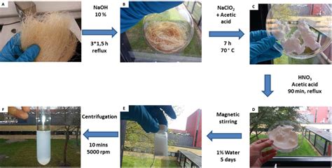  Nanocellulose: นวัตกรรมเส้นใยแห่งอนาคตสำหรับอุตสาหกรรมยานยนต์และบรรจุภัณฑ์!