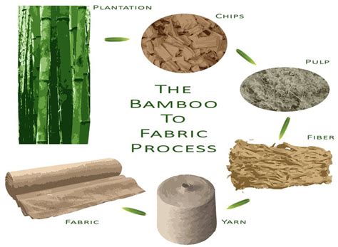  Bamboopulp: ปฏิวัติอุตสาหกรรมกระดาษด้วยเส้นใยแห่งอนาคต!