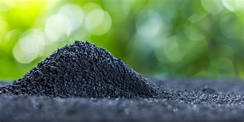  Biochar: นวัตกรรมการเกษตรที่ยั่งยืนและการฟื้นฟูดินด้วยวัสดุคาร์บอนจากธรรมชาติ!