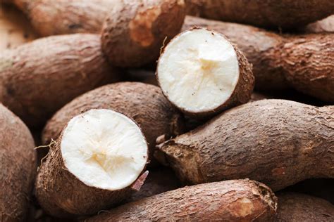 Cassava: A Root That Feeds and Fuels Industries!