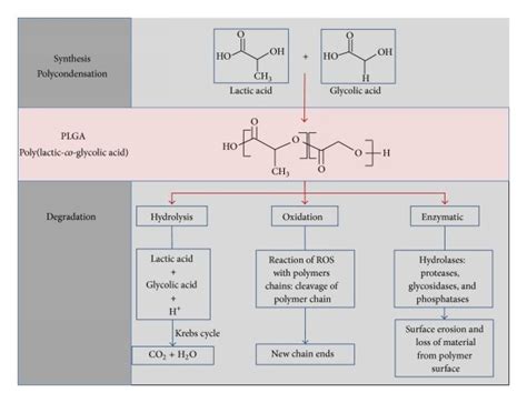  Glycolic Acid: อาวุธลับแห่งการย่อยสลายชีวภาพและความทนทานสูง!