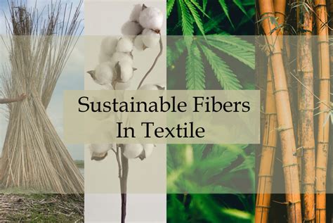 Hemp Fiber: Sustainable Textile Innovation and Bio-Based Material Revolution!