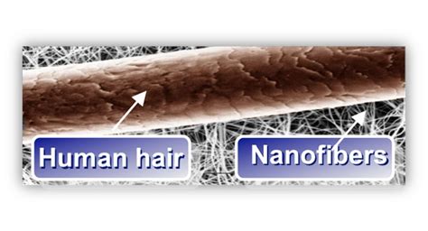  Keratin Nanofibers: นวัตกรรมเส้นใยโปรตีนเพื่ออนาคตวงการแพทย์และเครื่องสำอาง!!